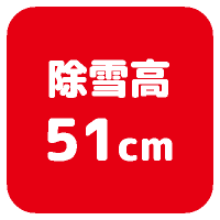 51cm
